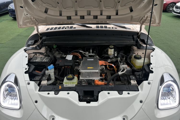 Used ORA Ballet Cat 2022 401 km Nutcracker Edition
