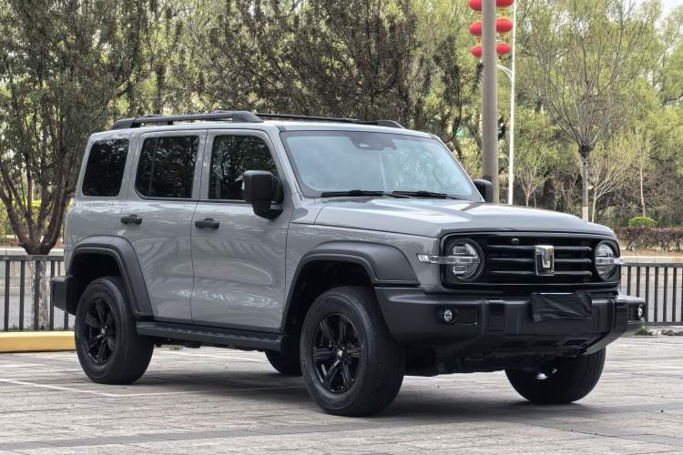 Used Tank 300 2024 2.0T Conqueror
