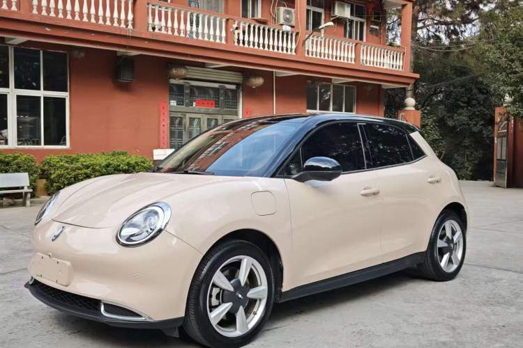 Used ORA Good Cat 2022 400km Standard Range Luxury Version Ternary Lithium