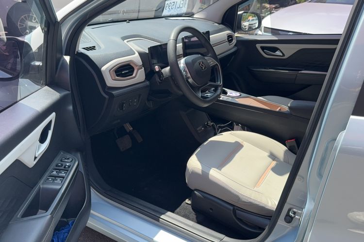 Used SOL E10X 2022 Flower Fairy Design Four-Leaf Clover