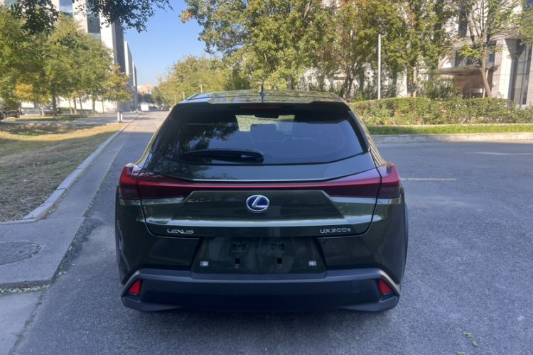 Used Lexus UX New Energy 2020 300e Pure·Joy Edition Exterior 3