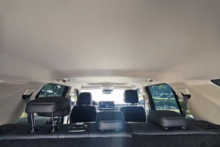 Used Tank 400 2025 2.0T Gasoline Version
