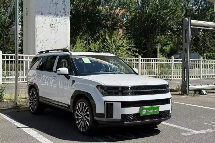 Used Hyundai Santa Fe 2024 2.0T Connoisseur Pro Max