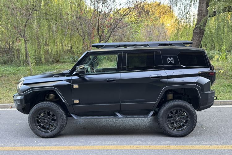 Used Brave warrior 917 2023 Pure Electric Base Model
