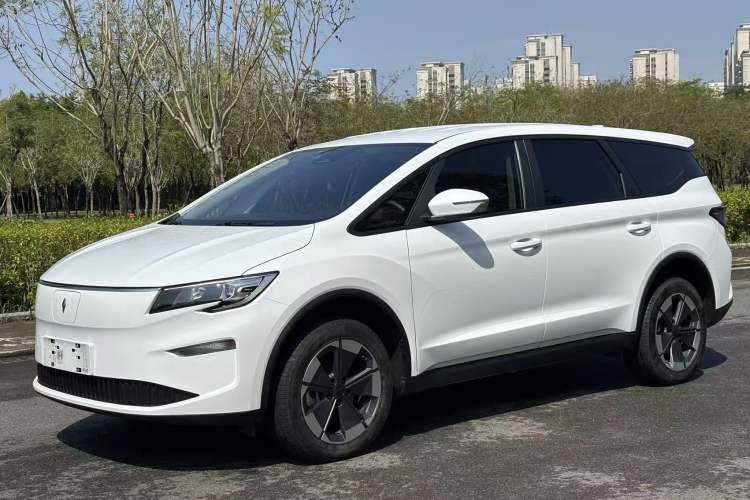 Used Livan 8 2025 Long-Range Version