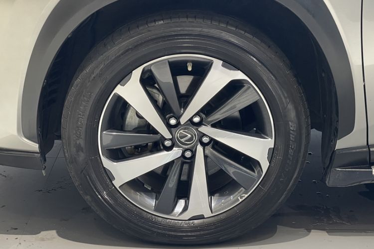 Used Lexus NX 2020 300h All-Wheel Drive FENGZHI Version China VI Standard Exterior 11