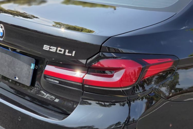 Used BMW 5 Series 2020 530Li Leading Model M Sport Package Exterior 9