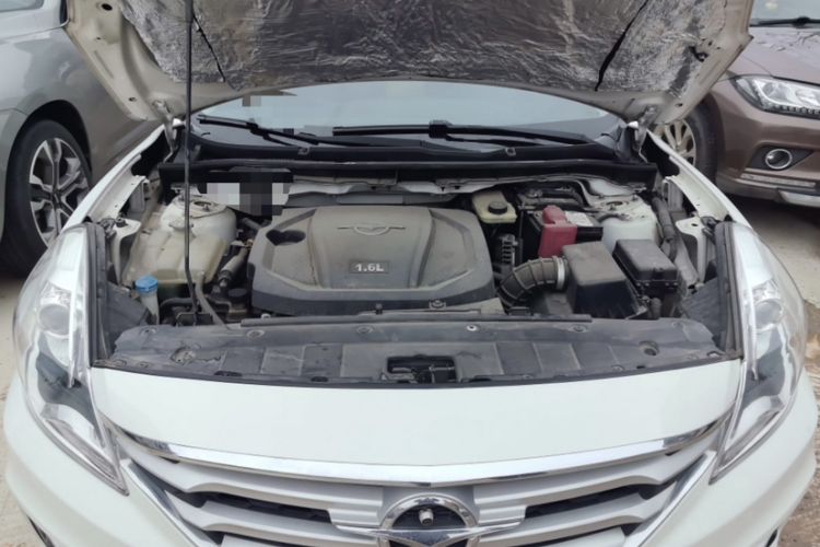 Used Haima Fumei 2017 1.6L Automatic Luxury Model
