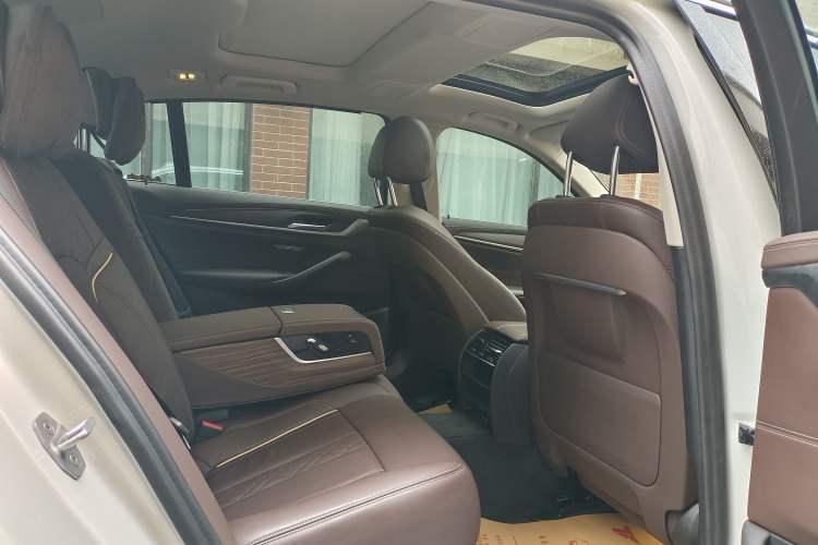 Used BMW 5 Series 2020 530Li Leading Edition Luxury Package