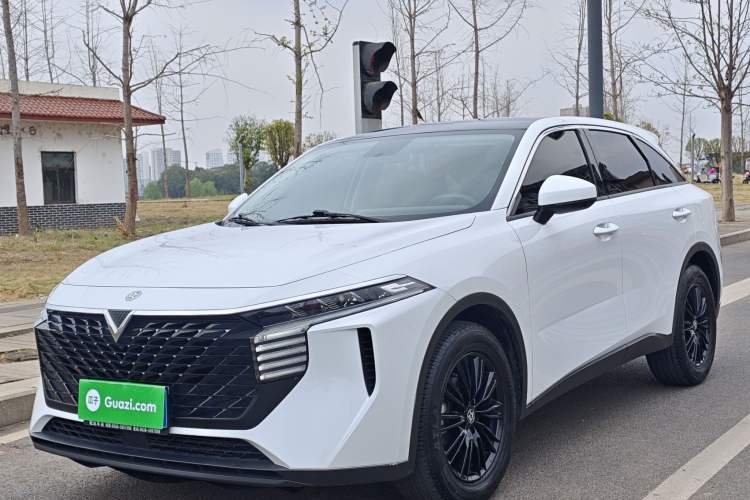 Used Venucia V 2023 260T Idol Edition Pro