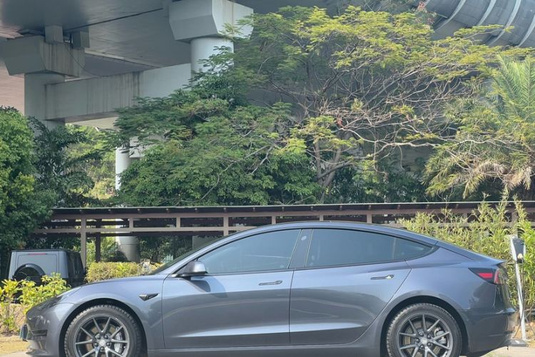 Used Tesla Model 3 2021 Standard Range Rear-Wheel Drive Upgraded Version 3D6
