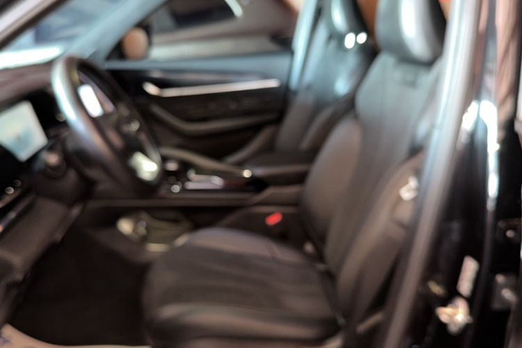 Used Geely Auto Monjaro L 2024 2.0TD High-Power Automatic Two-Wheel Drive Yunqi Version Left Front Seat