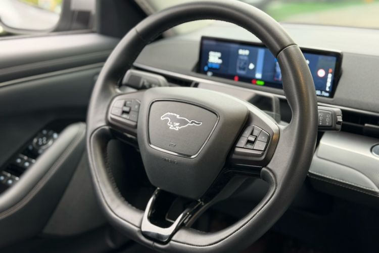 Used Ford Mustang Mach-E 2021 Leap Edition Rear-Drive Version (Standard Range)
