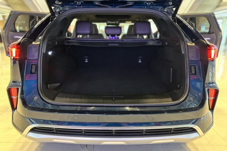 Used Wey Mocha 2021 2.0T Two-Wheel-Drive Premium Edition
