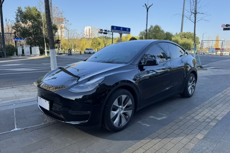 Used Tesla Model Y 2021 Standard Range Rear-Wheel Drive Version