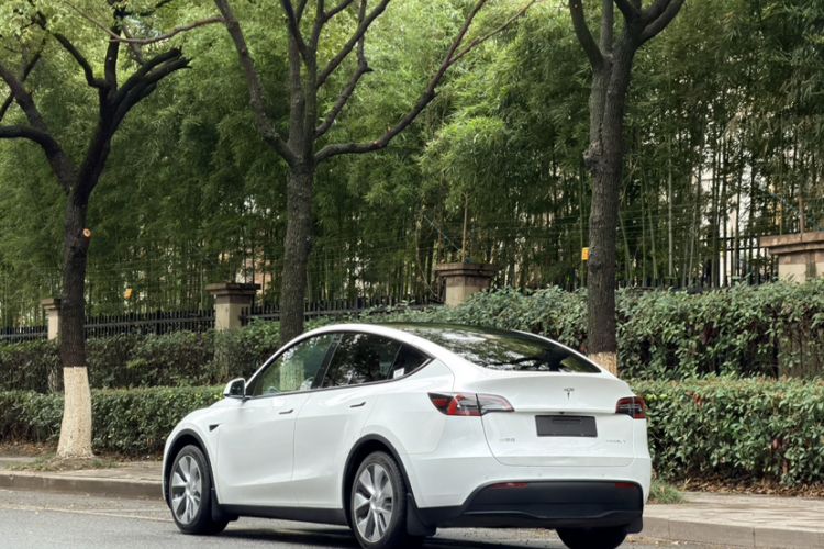 Used Tesla Model Y 2022 Rear-Wheel-Drive Version
