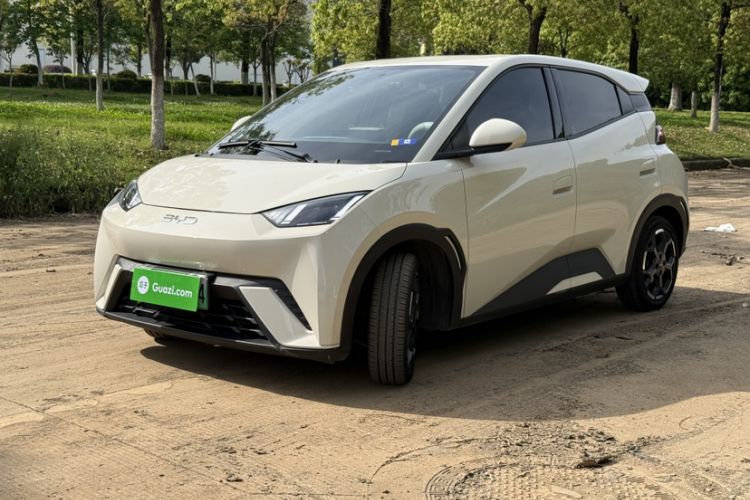 Used BYD Seagull 2023 Free Edition
