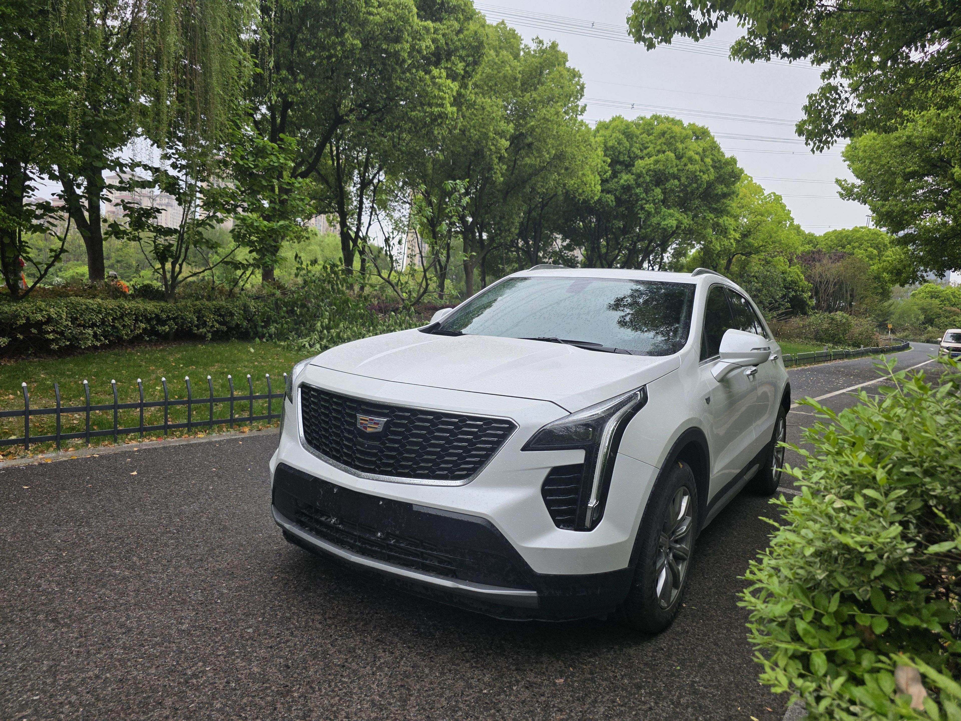 Parte inferior delantera