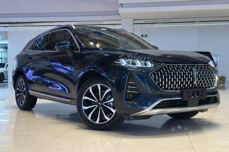 Used Wey Mocha 2021 2.0T Two-Wheel-Drive Premium Edition
