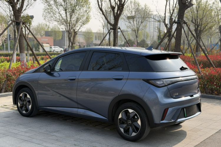 Used BYD Dolphin 2024 Honor Edition 420km Freedom Version Exterior 3