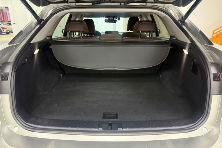 Used Lexus RX 2020 300 Two-Wheel Drive Comfort Edition China VI Standard
