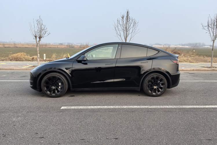 Used Tesla Model Y 2021 Standard Range Rear-Wheel Drive Version
