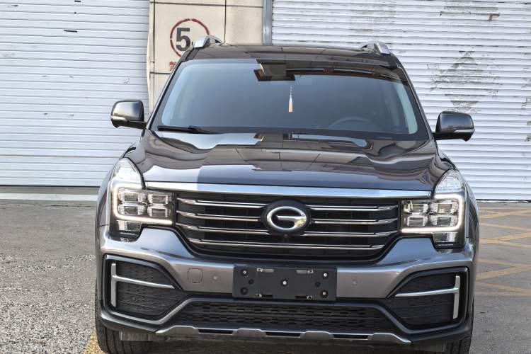 Used GAC Trumpchi GS8 2020 390T Two-Wheel Drive Luxury Smart Connectivity Version (7 Seats)
