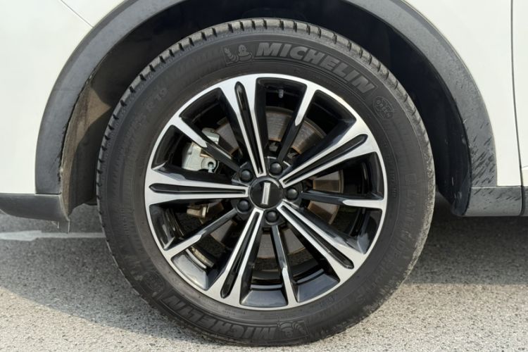 Used Wey VV6 2021 2.0T Two-Wheel Drive Smart Plus