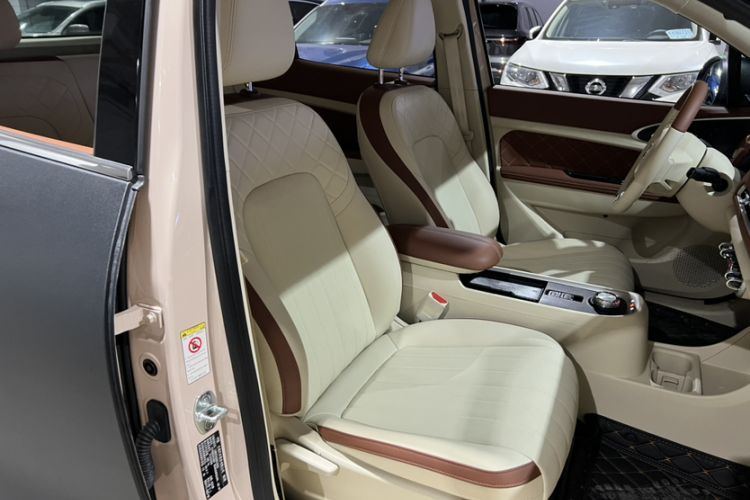 Used ORA Good Cat 2022 400km Standard Range Luxury Version Lithium Iron Phosphate