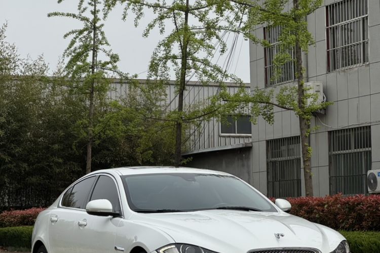 Used Jaguar XF 2014 XF 2.0T Luxury Edition Exterior 3