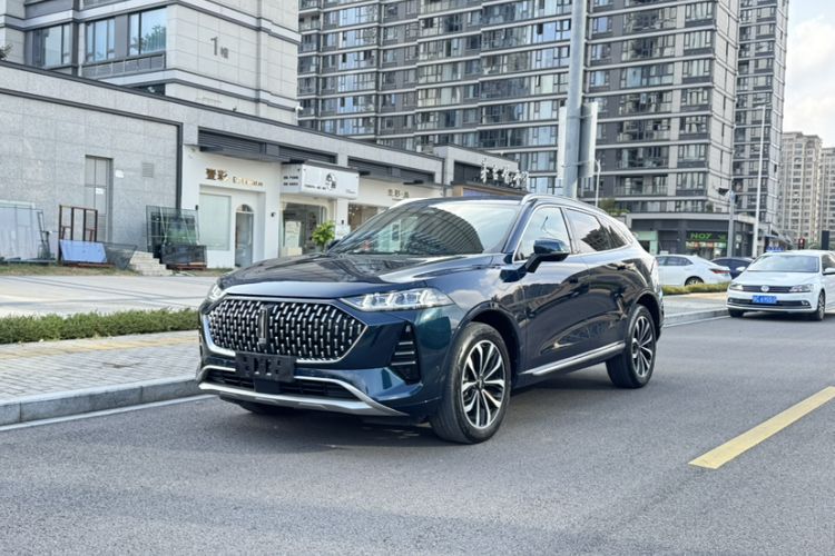 Used Wey Mocha 2021 2.0T Four-Wheel Drive Premium Edition