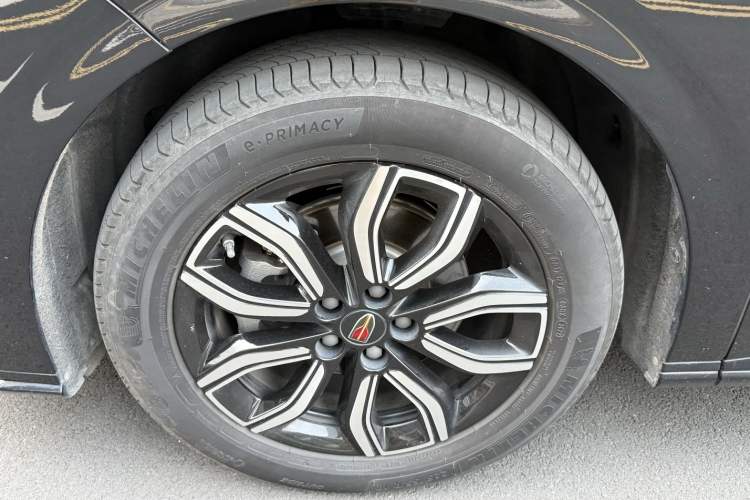 Used Hongqi HQ9 2023 2.0T Smart Connect Flagship Edition Exterior 7