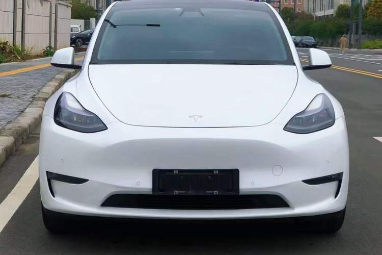 Used Tesla Model Y 2021 Standard Range Rear-Wheel Drive Version Exterior 5