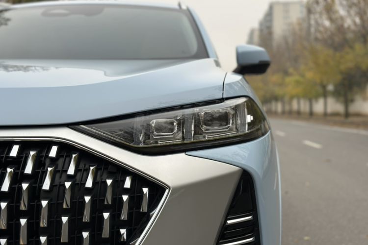 Used Wey Mocha 2021 2.0T Two-Wheel-Drive Premium Edition
