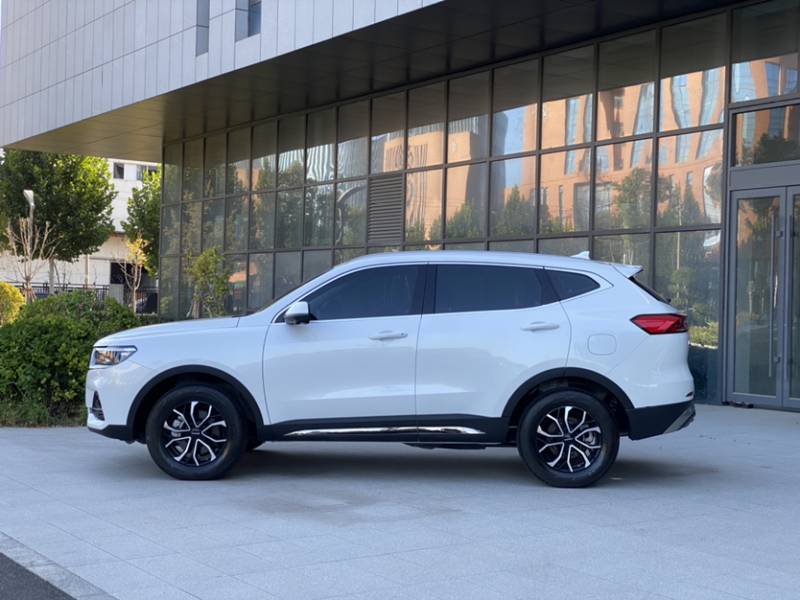Used Haval H6 2023 National Trend Edition 1.5T Automatic Urban Version — 34