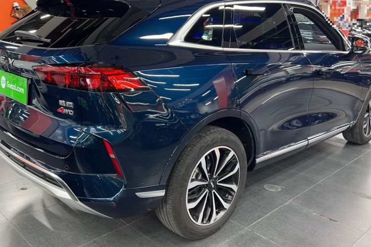 Used Wey Mocha 2021 2.0T Four-Wheel Drive Premium Edition