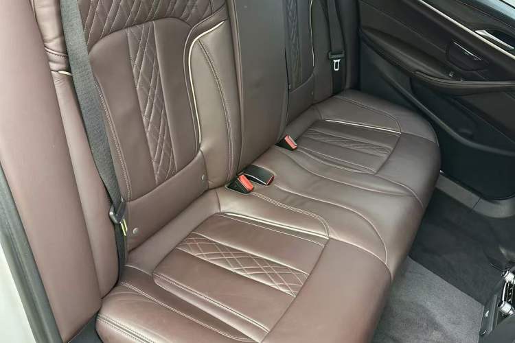 Used BMW 5 Series New Energy 2019 530Le Luxury Package Interior 3