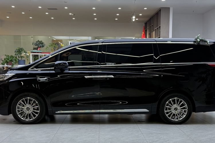 Used Wey Gaoshan 2025 Four-Wheel Drive Alpine 8
