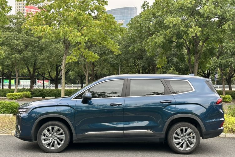 Used Livan Livan 9 2023 470 km Founder Edition