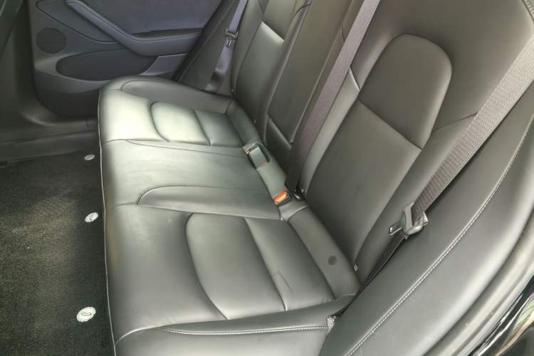 Used Tesla Model 3 2021 Standard Range Rear-Drive Upgraded Version