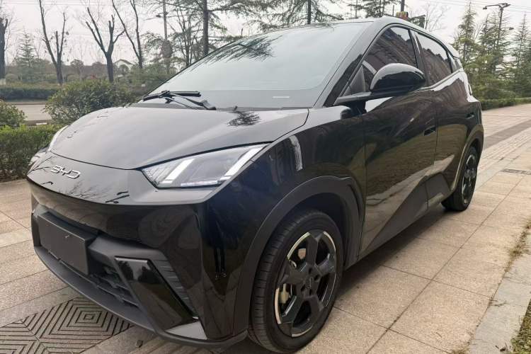 Used BYD Seagull 2023 Flying Edition