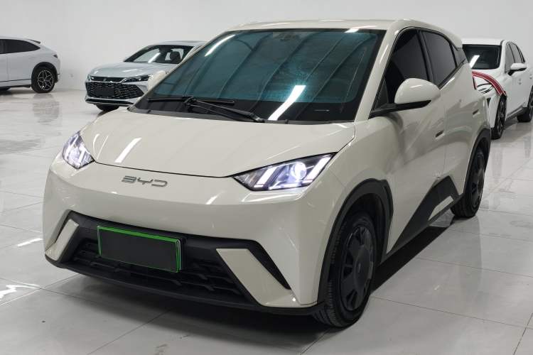 Used BYD Seagull 2023 Active Version
