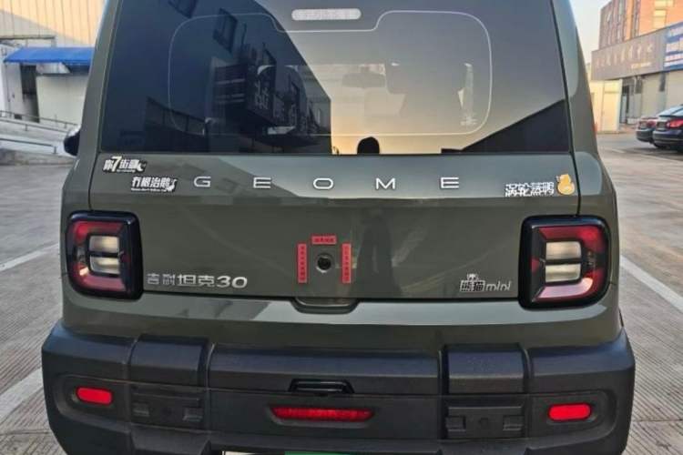 Used Geely Galaxy Panda 2024 200km Panda Rider Exterior 3