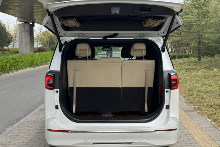 Used Buick GL8 2022 ES Landtrek 653T Flagship Model
