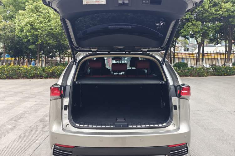 Used Lexus NX 2020 200 All-Wheel Drive Fēngshàng Version China VI Standard Interior 6