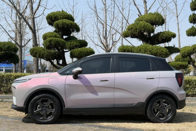 Used Geometry E Firefly 2022 401 km Linglong Tiger 4 Seats