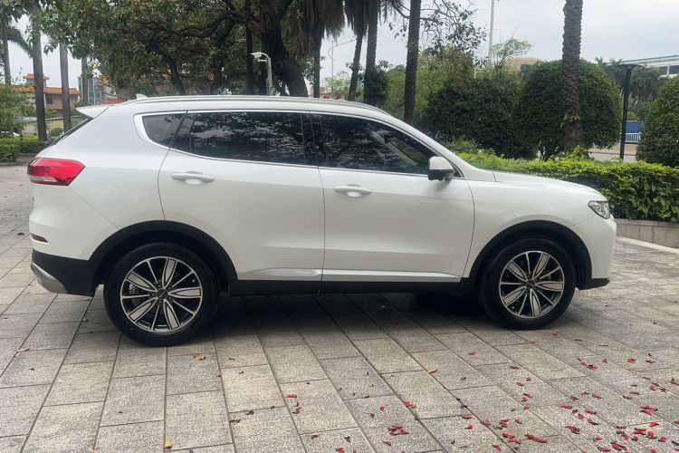 Used Haval H6 2021 1.5T Automatic Champion Edition Exterior 2