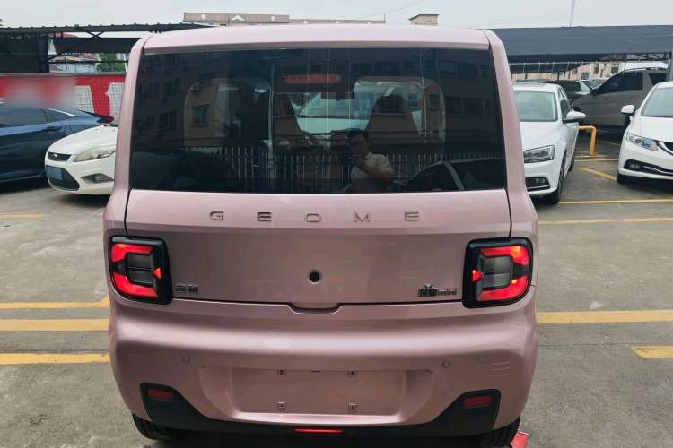 Used Geely Galaxy Panda 2024 Facelifted Panda Mini 200km Dragon Edition Exterior 4