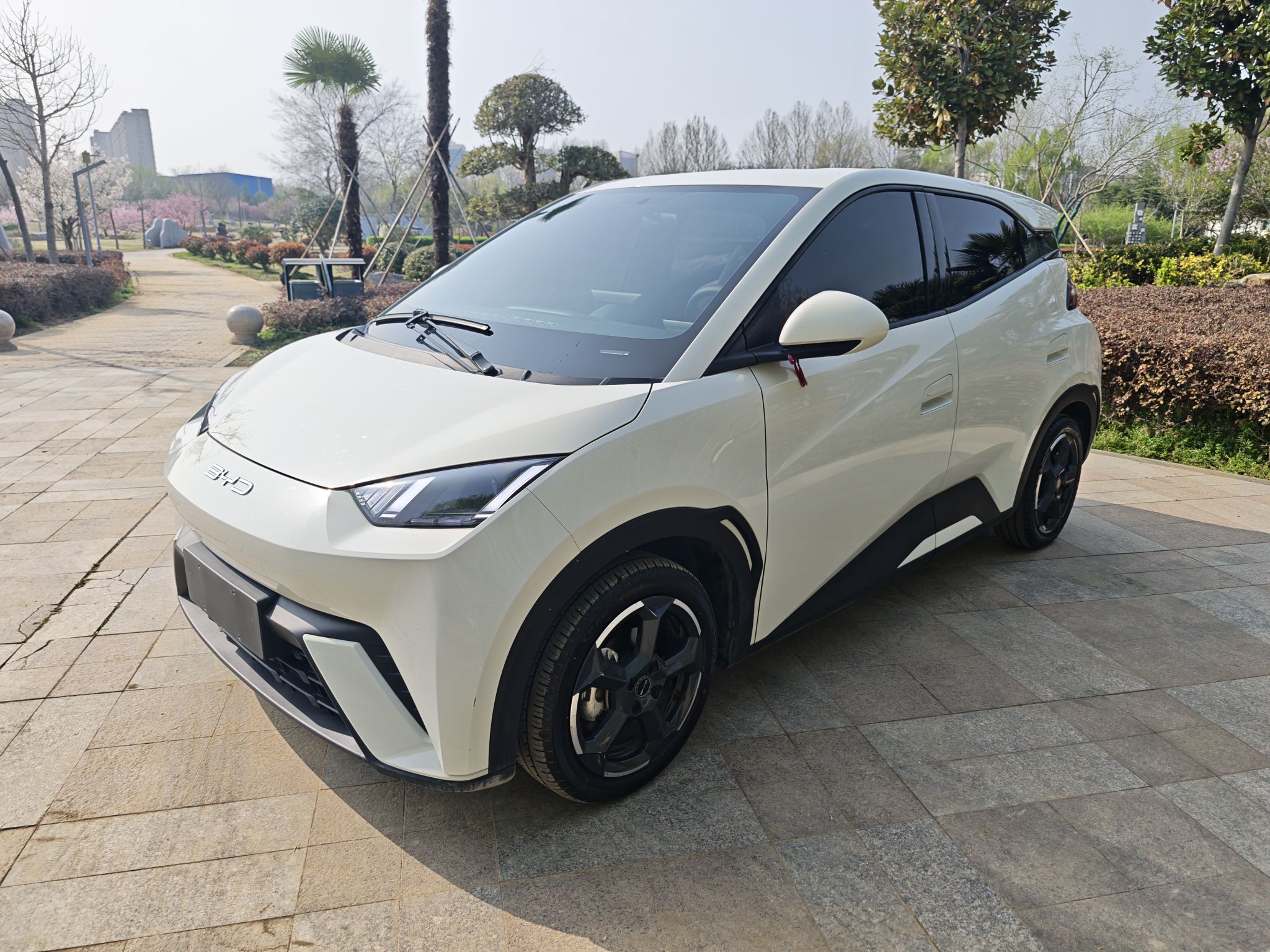 Parte inferior delantera