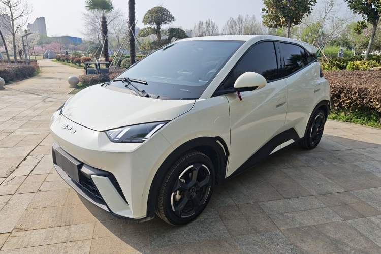 Used BYD Seagull 2023 Free Edition